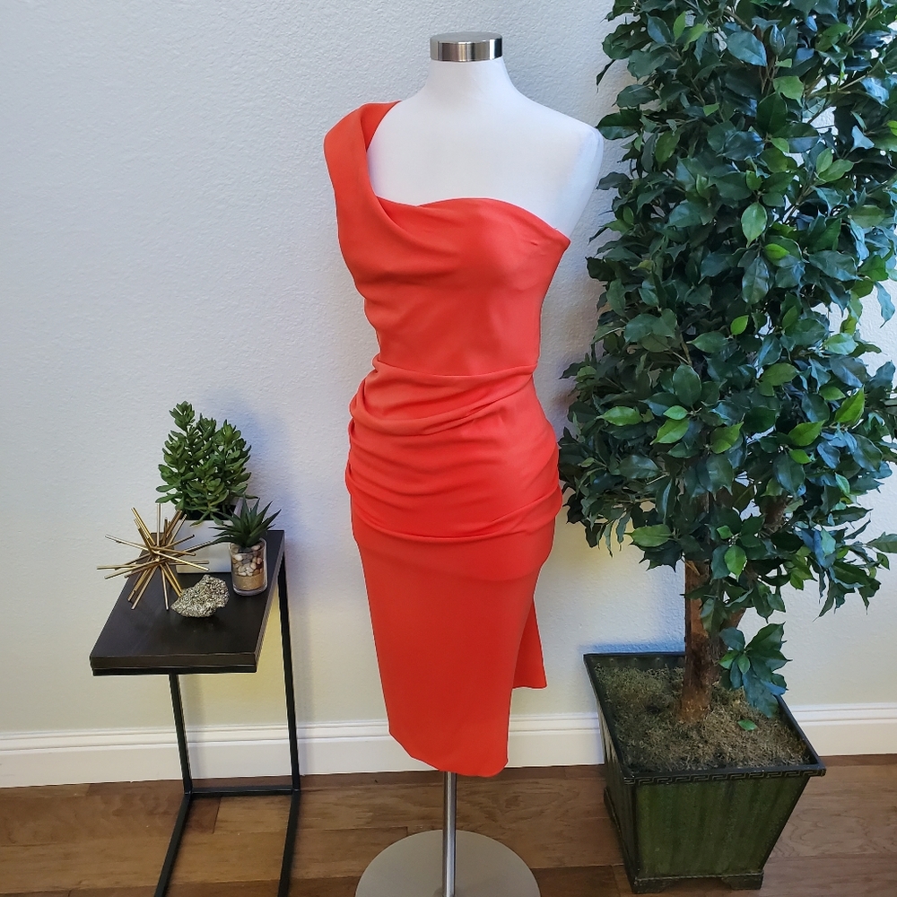 NWT Ruffled One-Shoulder Dress - Picture 3 of 8